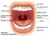 Διαβούλευση για την ανάπτυξη κέντρου πρόληψης, διάγνωσης και θεραπείας στοματικού καρκίνου